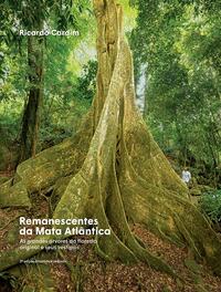 Remanescentes Da Mata Atlântica